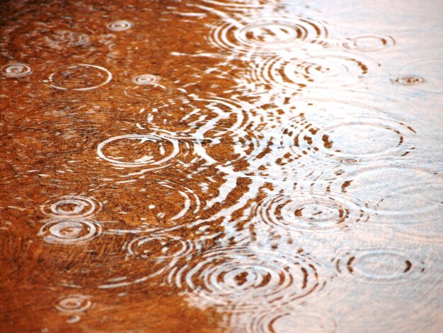 Foto immagine completa dell'acqua