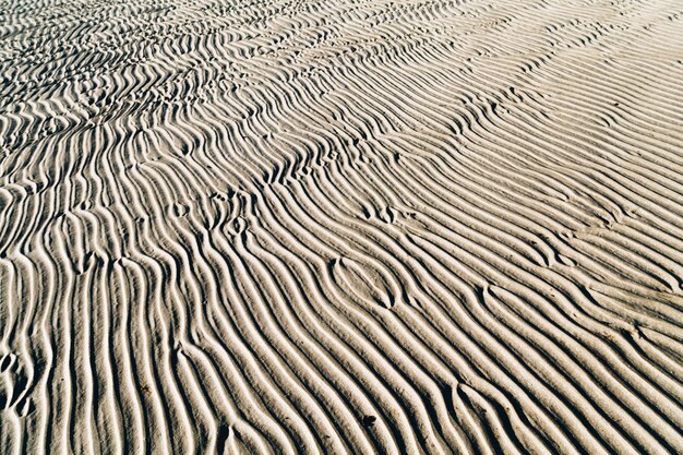 Foto fotografia completa del modello d'onda sulla sabbia nel deserto