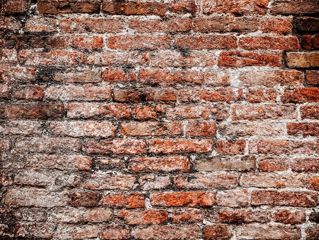 Full frame shot of weathered wall