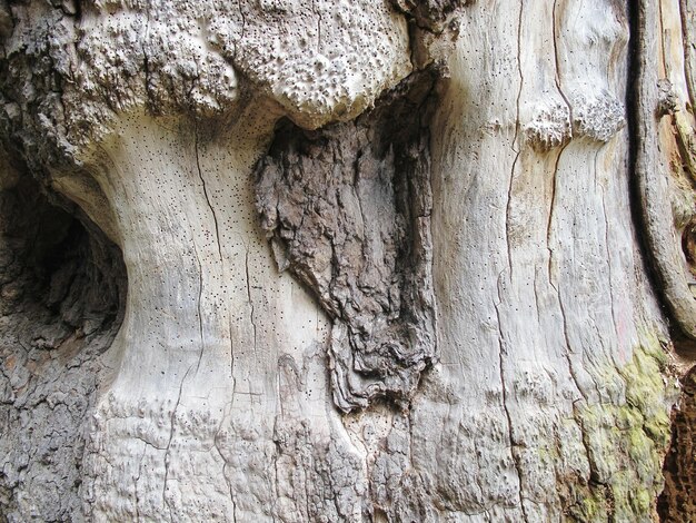 Photo full frame shot of weathered wall