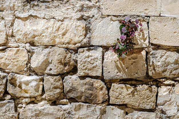 Photo full frame shot of weathered wall