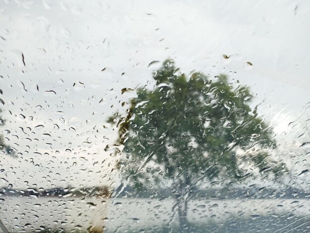 Full frame shot of wet glass window