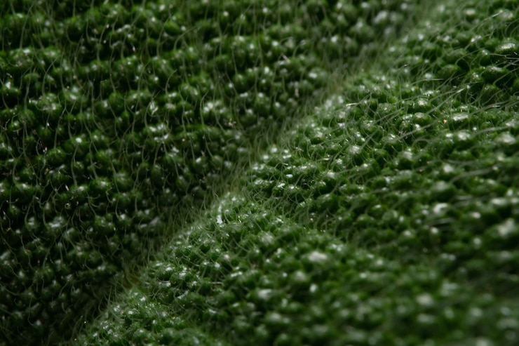 Photo full frame shot of wet grass