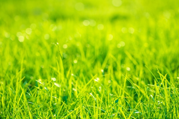 Photo full frame shot of wet grass