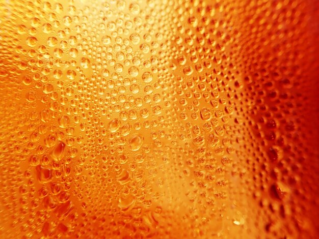 Full frame shot of wet orange