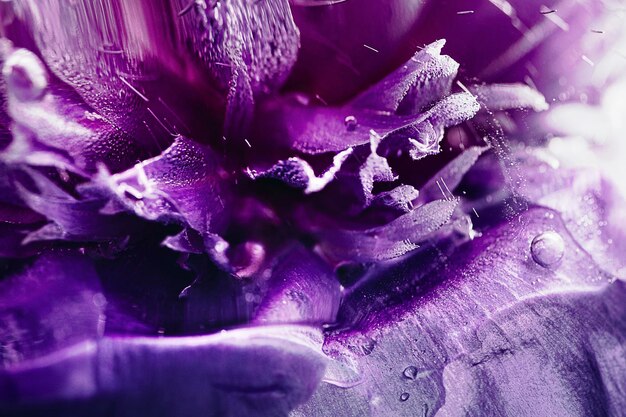 Photo full frame shot of wet purple flowering plant