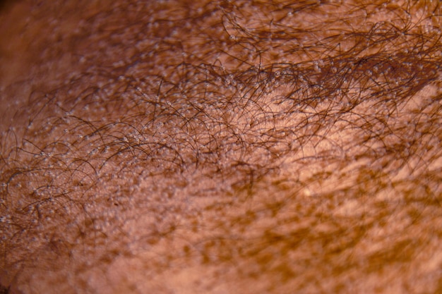 Full frame shot of wet skin