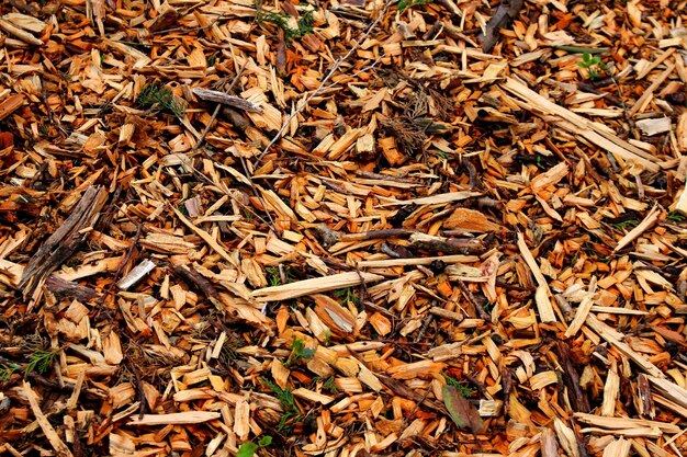 Full frame shot of wood chips