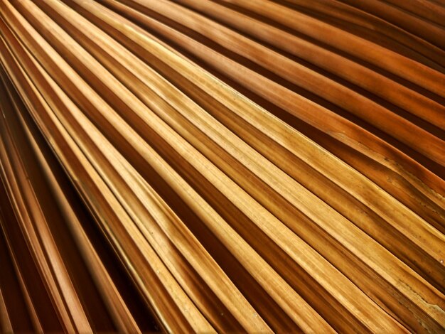 full frame shot of wood