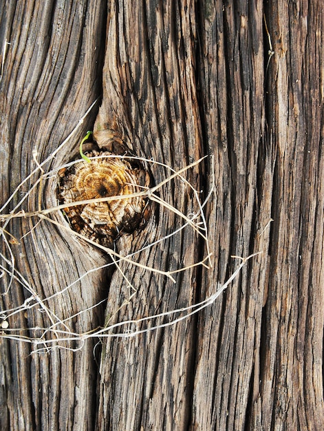 Foto scatto a telaio completo in legno