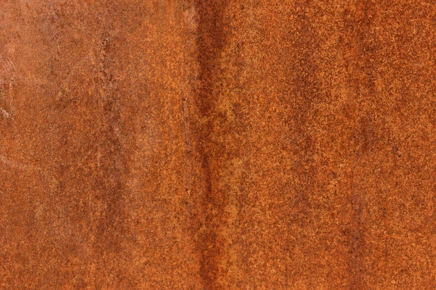 完整的木制镜头