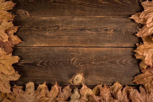 Full frame shot of wood