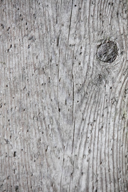 Full frame shot of wood