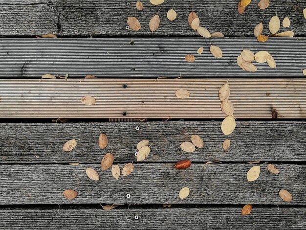 Full frame shot of wood