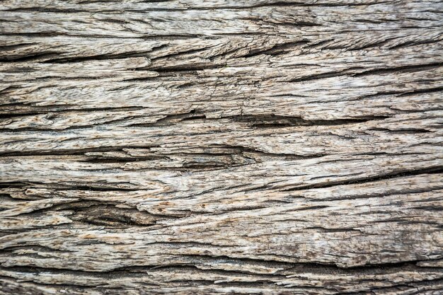 Full frame shot of wood