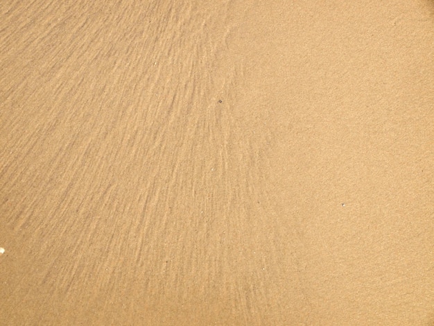 Full frame shot of wooden floor