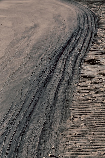 Foto fotografia completa di un terreno di legno