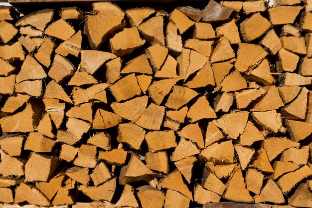 Foto fotografia completa di tronchi di legno nella foresta