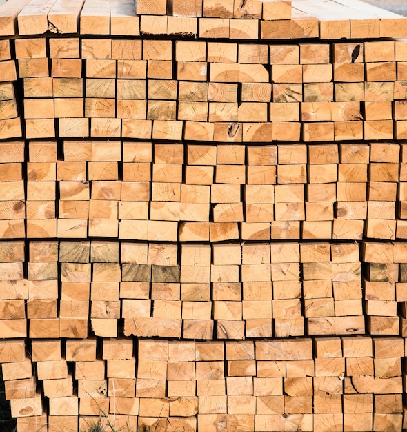 full frame shot of wooden logs in forest