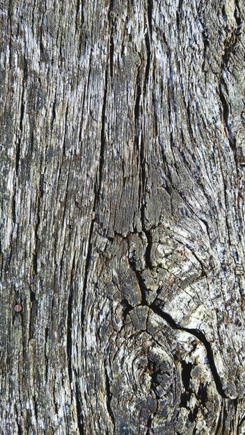 Photo full frame shot of wooden plank
