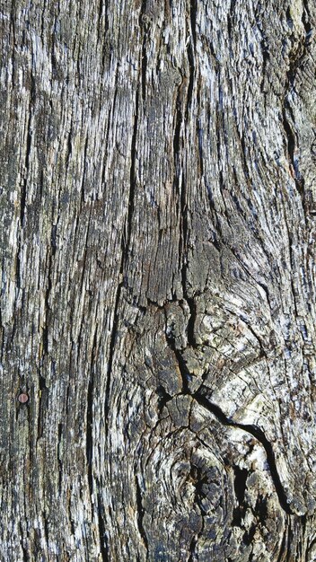 Foto fotografia completa di una tavola di legno