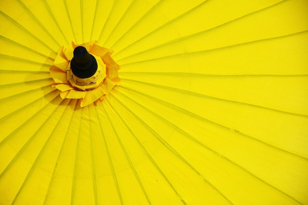 Photo full frame shot of yellow flower