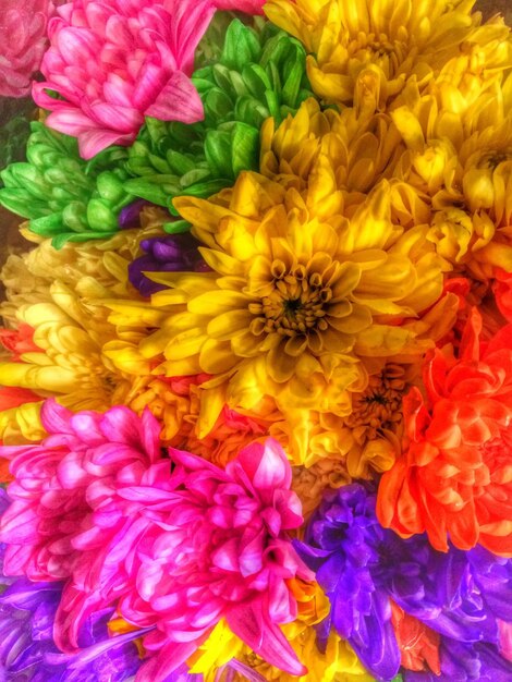 Full frame shot of yellow flower