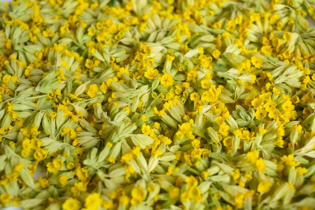 Full frame shot of yellow flowering plants