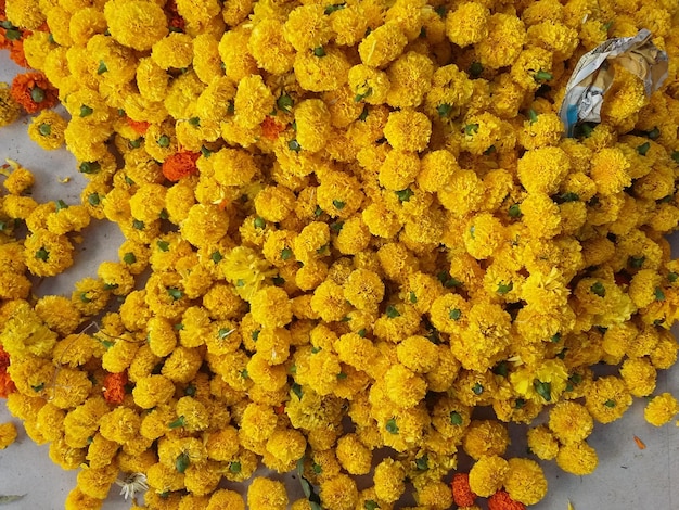 Photo full frame shot of yellow flowers