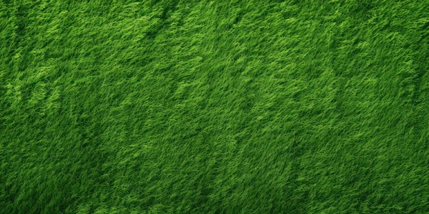 Foto sfondio di erba verde texturato a fotogramma completo in luce naturale vista superiore sfondo di erba verde