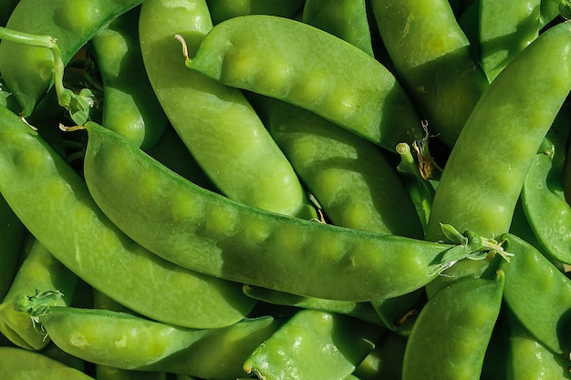 Полный кадр молодых спелых стручков гороха для фоновой доставки еды с рынка сезонных овощей
