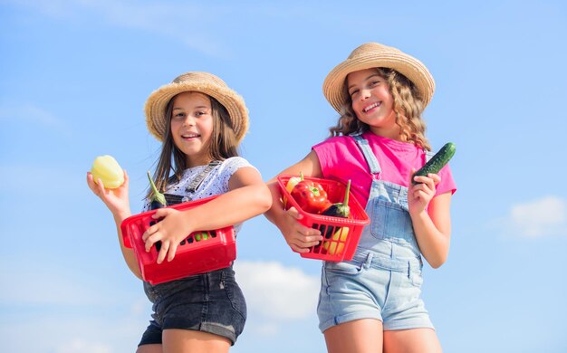 喜びに満ちた収穫ビタミン春の市場の庭健康食品は幸せな生活です子供たちが秋の収穫を農業している小さな女の子の野菜をバスケットに入れて夏の農場の自然な子供たちだけ有機食品