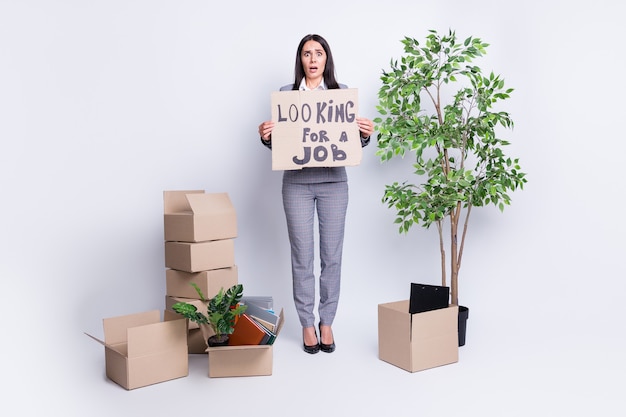 Full length body size view of her she nice attractive worried\
fired lady agent broker secretary assistant holding paper card\
saying looking for a job vacancy isolated grey pastel color\
background