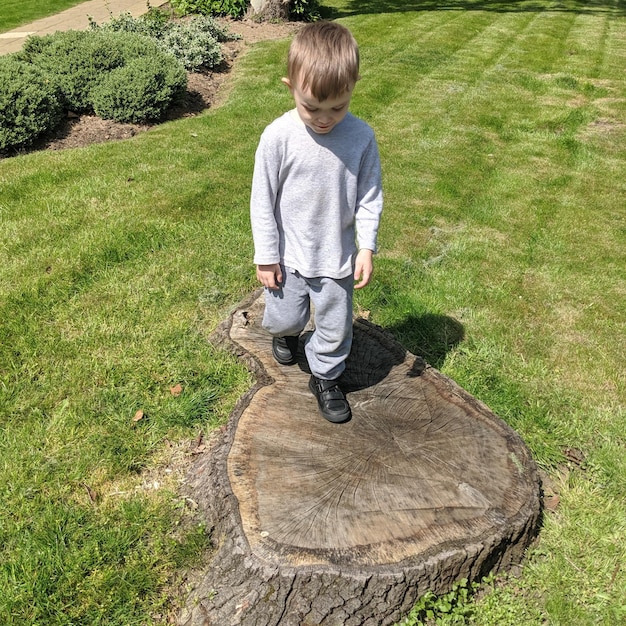 木の幹の上を歩く男の子の全長