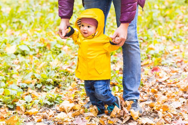 黄色い秋の葉の上に立っている男の子の全長