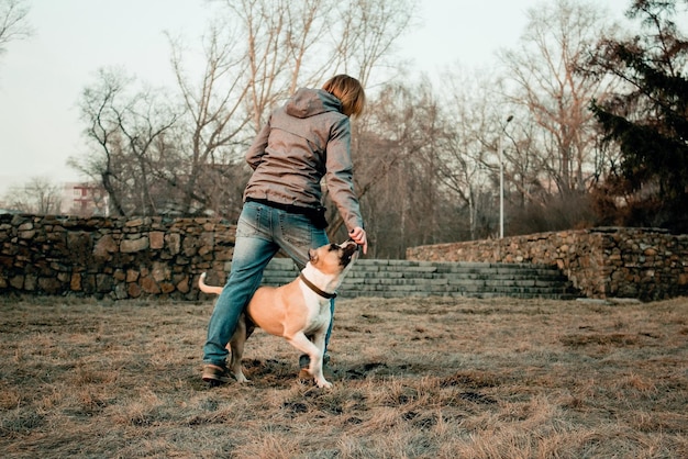 Full length of dog playing with bare trees
