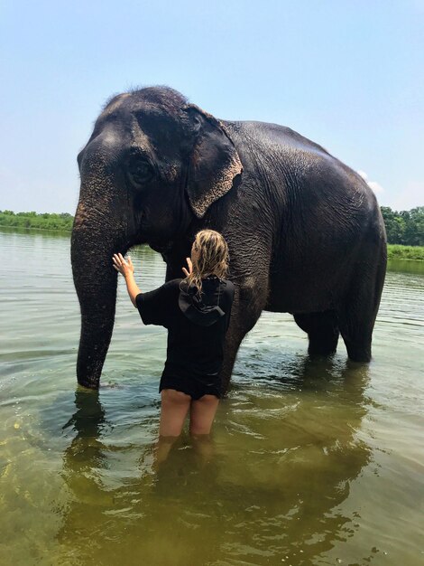 Full length of elephant standing by river against sky