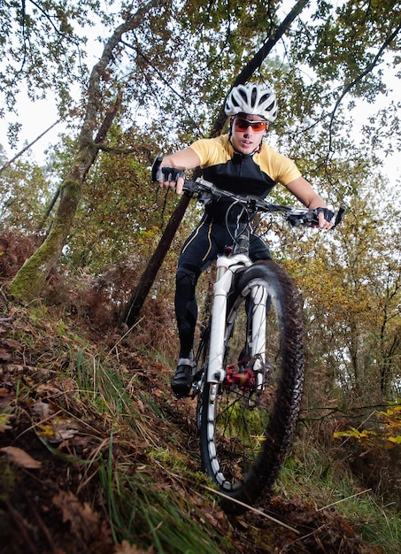 full length of man riding bicycle on tree