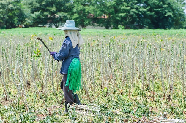 Full length of man standing in farm