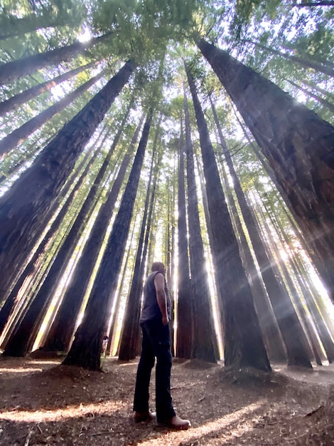 Foto lunghezza completa di un uomo in piedi nella foresta