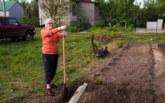С чего начать сад на пустом участке