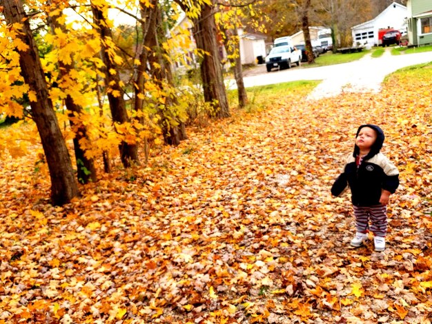 写真 秋に歩道に立っている赤ちゃんの全長