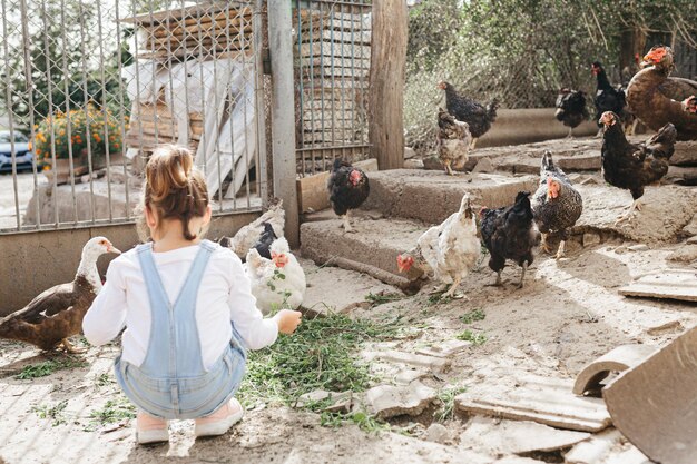 사진 새에 대한 소년의 전체 길이