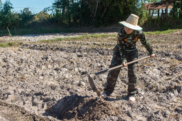 写真 フィールドで働く人の全長