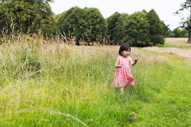 写真 芝生の田んぼの女性の全長