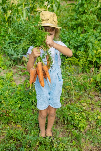 写真 フィールドに立っている女性の全長