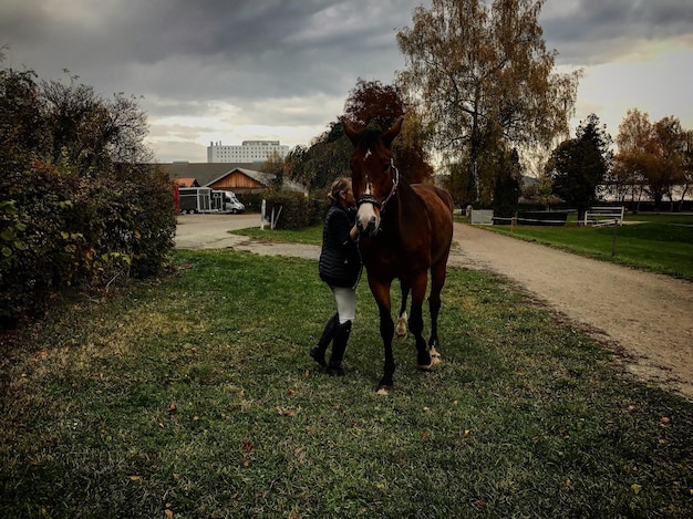 写真 野原で馬と立っている女性の全長