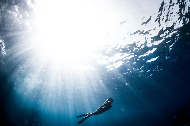 写真 晴れた日に海で泳ぐ女性の長さ