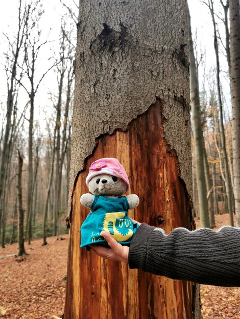 Foto lunghezza completa di una persona con un giocattolo sul tronco di un albero nella foresta