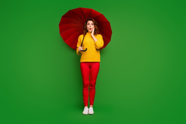 Full length photo of excited lady hold big bright umbrella walk rainy warm spring day weather hand on cheek wear yellow sweater red pants shoes isolated green color wall